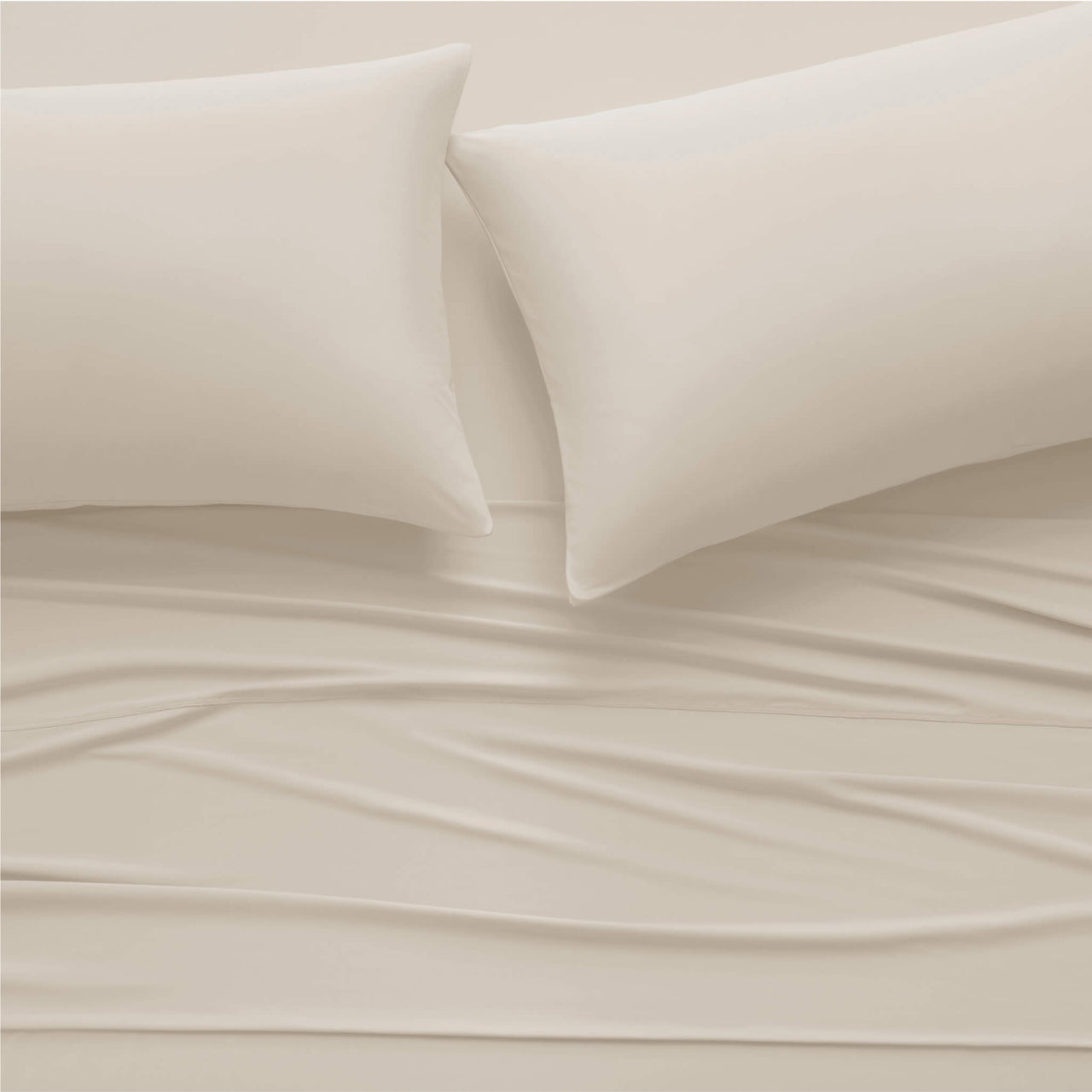 Snow Ivory