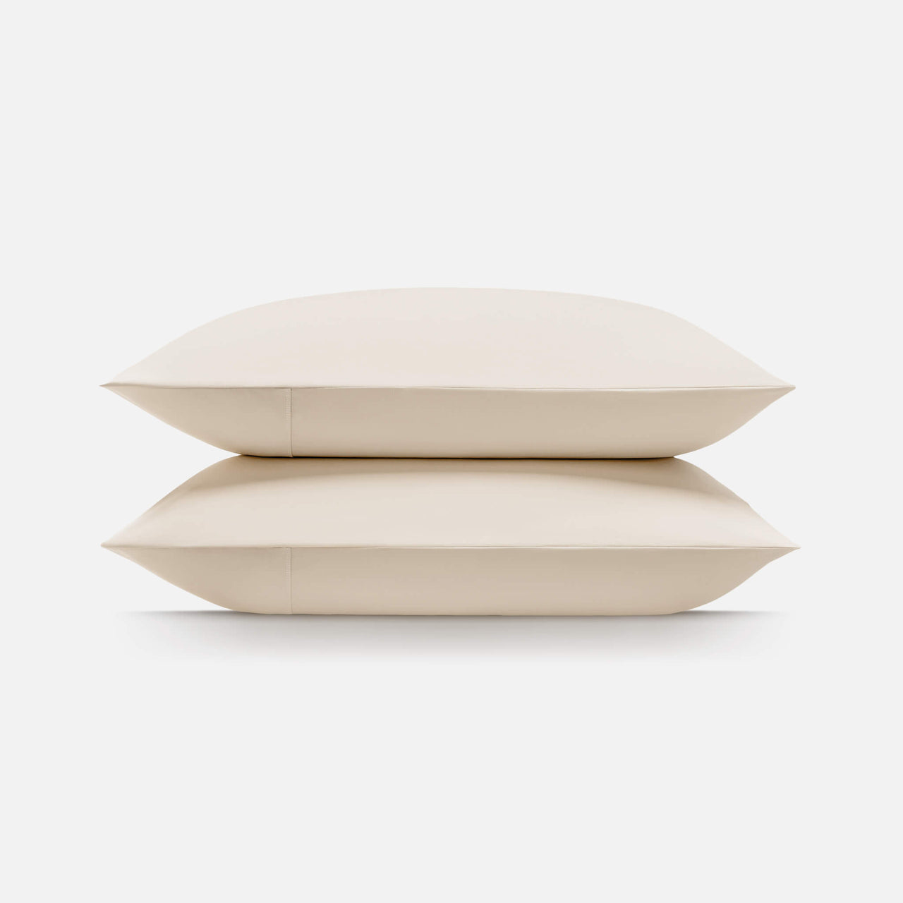 Snow Ivory
